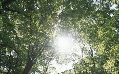 九岁小孩不爱吃饭脾胃不好该吃什么药 小孩不吃饭厌食吃什么药