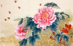 眼角里长了个小肉疙瘩是怎么回事 左眼角长个小肉疙瘩