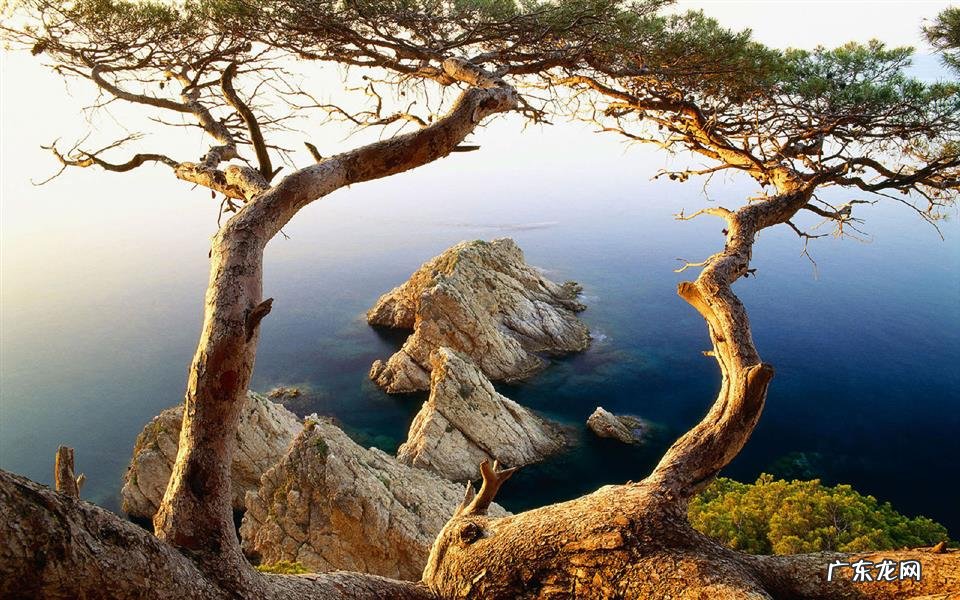 一个鸡蛋500毫升牛奶等于多少斤 一天喝500ml牛奶会胖吗