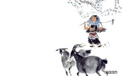 肺气肿伴有肺大泡可以吃什么药缓解 气胸该吃什么好