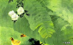 少年儿童的心理发展特征都有哪些 小学生有趣的心理小知识