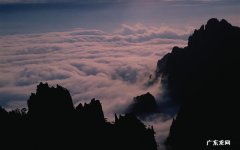 为什么我爱喝冰红茶 长期喝冰红茶的危害