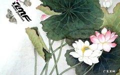薇诺娜的护肤品哪些是针对毛孔粗大的 清洁毛孔粗大的护肤品