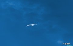 精索静脉曲张手术后 精索静脉曲张全国医院排名