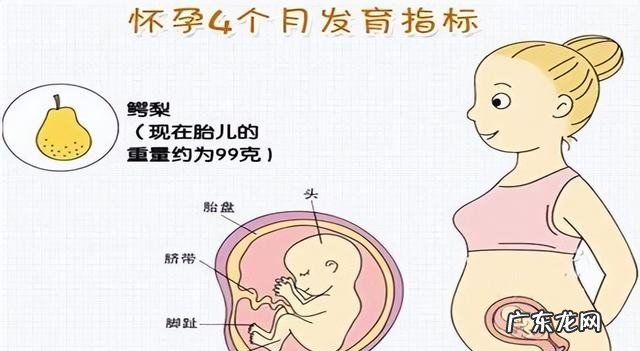 怀孕期间有哪些注意事项 怀孕一到三个月应该注意什么