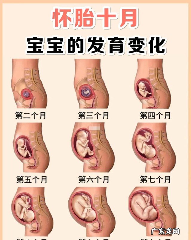 怀孕期间有哪些注意事项 怀孕一到三个月应该注意什么