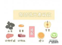 正确补铁的注意事项 孕期贫血应该怎么补血