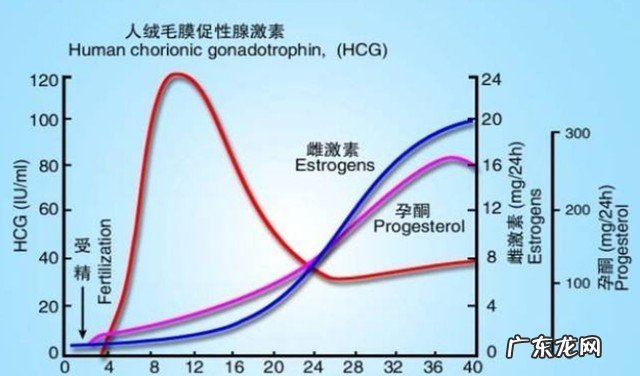 验孕棒一深一浅什么意思 如何正确看验孕棒