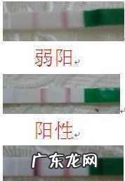 早早孕试纸的使用方法 早早孕试纸的工作原理