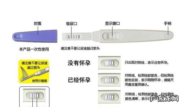 早早孕试纸的使用方法 早早孕试纸的工作原理
