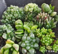 宝宝第一次剪头发的注意事项 婴儿第一次剪发有什么讲究