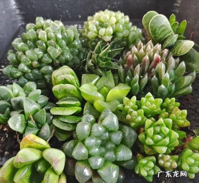 宝宝第一次剪头发的注意事项 婴儿第一次剪发有什么讲究