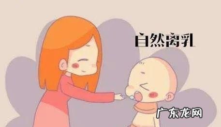 顺利断奶的小技巧 怎么断奶既快又不涨