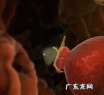 B超监测排卵注意事项 什么是B超监测排卵