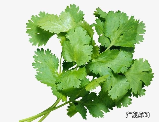 怀孕可以吃螺蛳粉吗 孕期应该谨慎吃的食物介绍