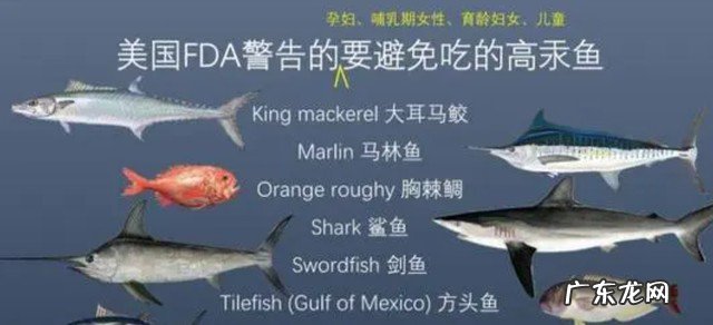 怀孕之后什么东西可以多吃 孕妇哪些东西不能吃少吃