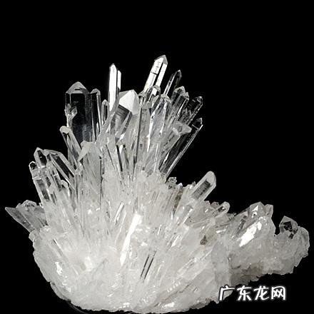 孕妈吃海带有哪些注意事项 怀孕能吃海带吗