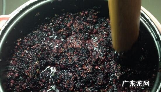 在家如何自制桑葚酒 桑葚泡酒做法大全