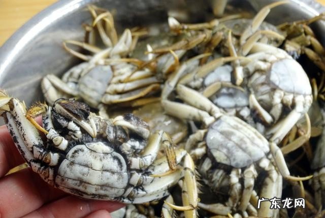 如何在家做香辣河蟹 河蟹怎么做好吃简单