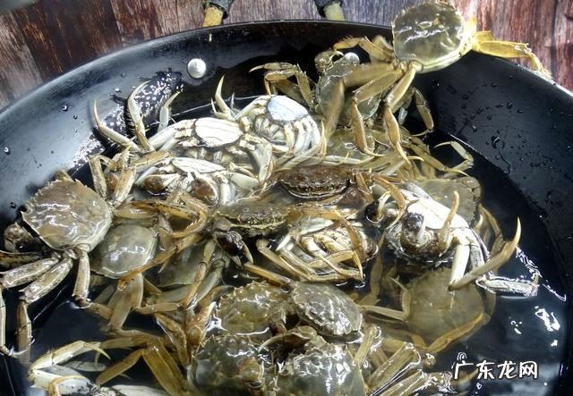 如何在家做香辣河蟹 河蟹怎么做好吃简单