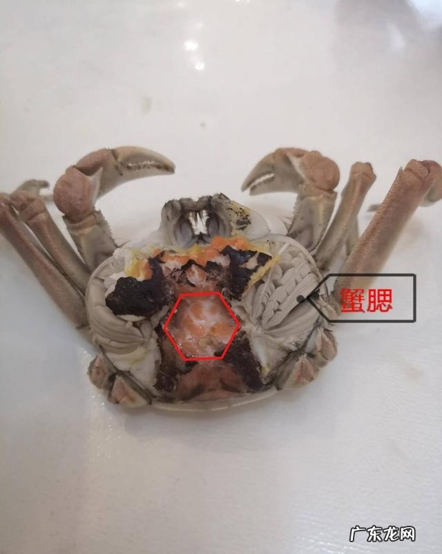 手把手教你做河蟹 河蟹最鲜美的三种做法分享
