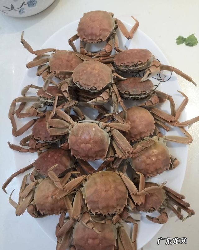 手把手教你做河蟹 河蟹最鲜美的三种做法分享