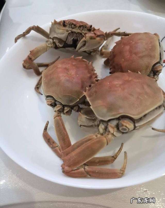手把手教你做河蟹 河蟹最鲜美的三种做法分享