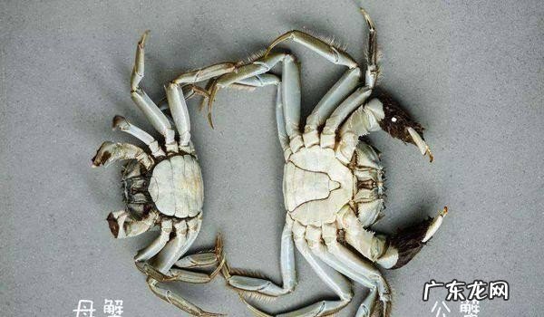 手把手教你做河蟹 河蟹最鲜美的三种做法分享