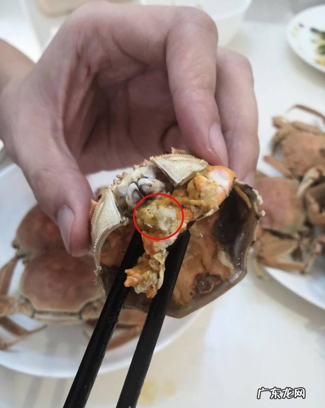 手把手教你做河蟹 河蟹最鲜美的三种做法分享