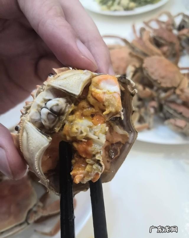 手把手教你做河蟹 河蟹最鲜美的三种做法分享