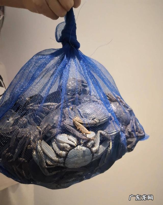 手把手教你做河蟹 河蟹最鲜美的三种做法分享