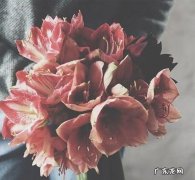睡不着的时候怎么发朋友圈 半夜失眠发朋友圈的短句子