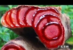 鸡血藤食谱分享 关于鸡血藤的简单介绍