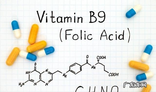 哪些食物中含有叶酸 补充叶酸可以防止中老年中风吗