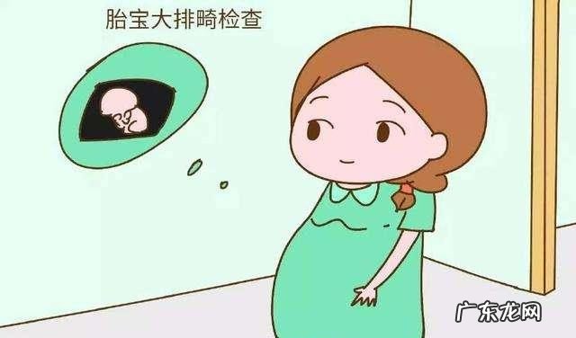 四维检查要注意什么 怀孕几个月的时候可以做四维