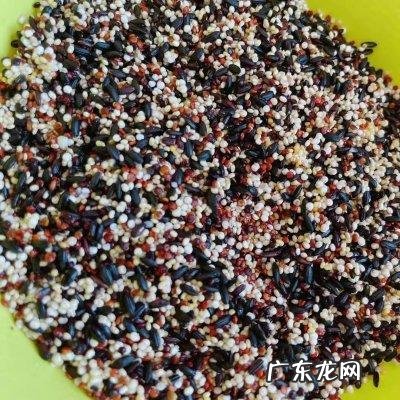 杂粮粽子的做法和配料 营养丰富的杂粮粽是怎么做的