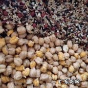 杂粮粽子的做法和配料 营养丰富的杂粮粽是怎么做的