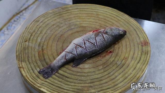 鲈鱼可以红烧吗 厨师长分享私房菜红烧鲈鱼