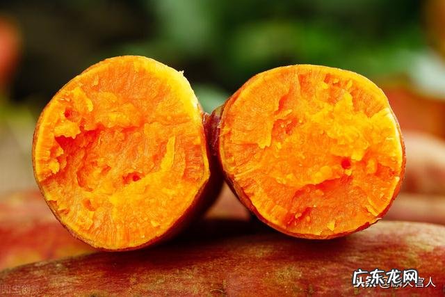 山芋是芋头还是红薯 芋头和红薯有啥区别