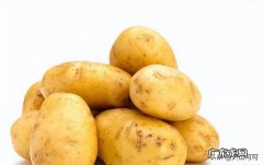 土豆能跟鸡蛋一块儿吃吗 土豆和鸡蛋怎么做最好呢