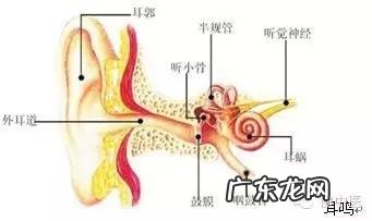 敏使朗的作用和功效 混合氧治疗是治疗什么的