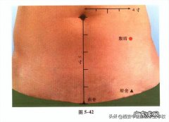 足太阴脾经经穴 关于腹结穴的作用是什么