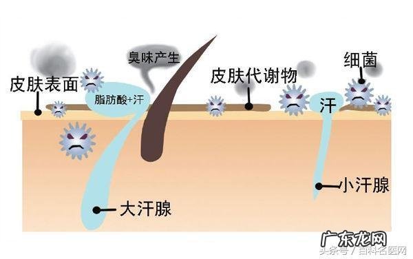 汗多是阴虚还是阳虚吃什么药 补虚才是其基本治疗原则