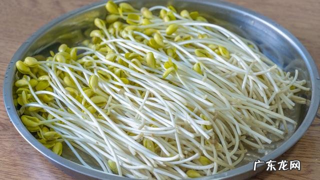 关于黄豆芽怎么发最快又好 黄豆芽怎么发最快又好吃方法