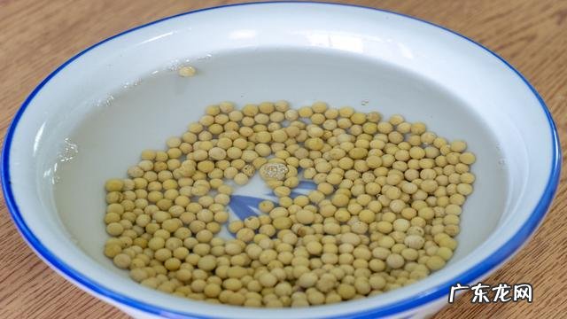 关于黄豆芽怎么发最快又好 黄豆芽怎么发最快又好吃方法