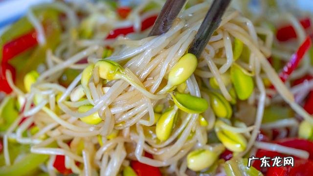 关于黄豆芽怎么发最快又好 黄豆芽怎么发最快又好吃方法