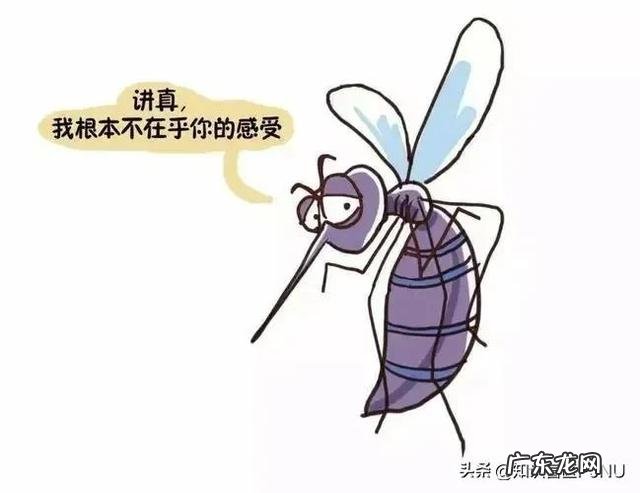 蚊子觅食的方式介绍 蚊子喜欢咬什么样的人