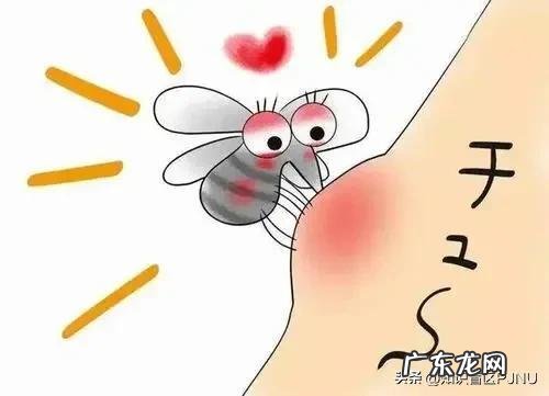 蚊子觅食的方式介绍 蚊子喜欢咬什么样的人