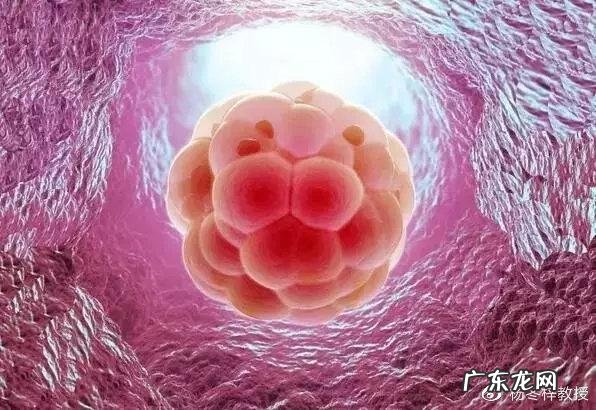 什么是生化妊娠 造成生化妊娠的原因是什么
