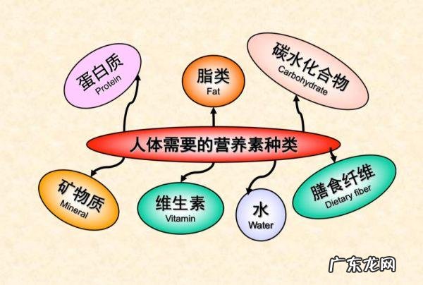 关于大豆复合蛋白粉的简单介绍 食用蛋白质粉的注意事项